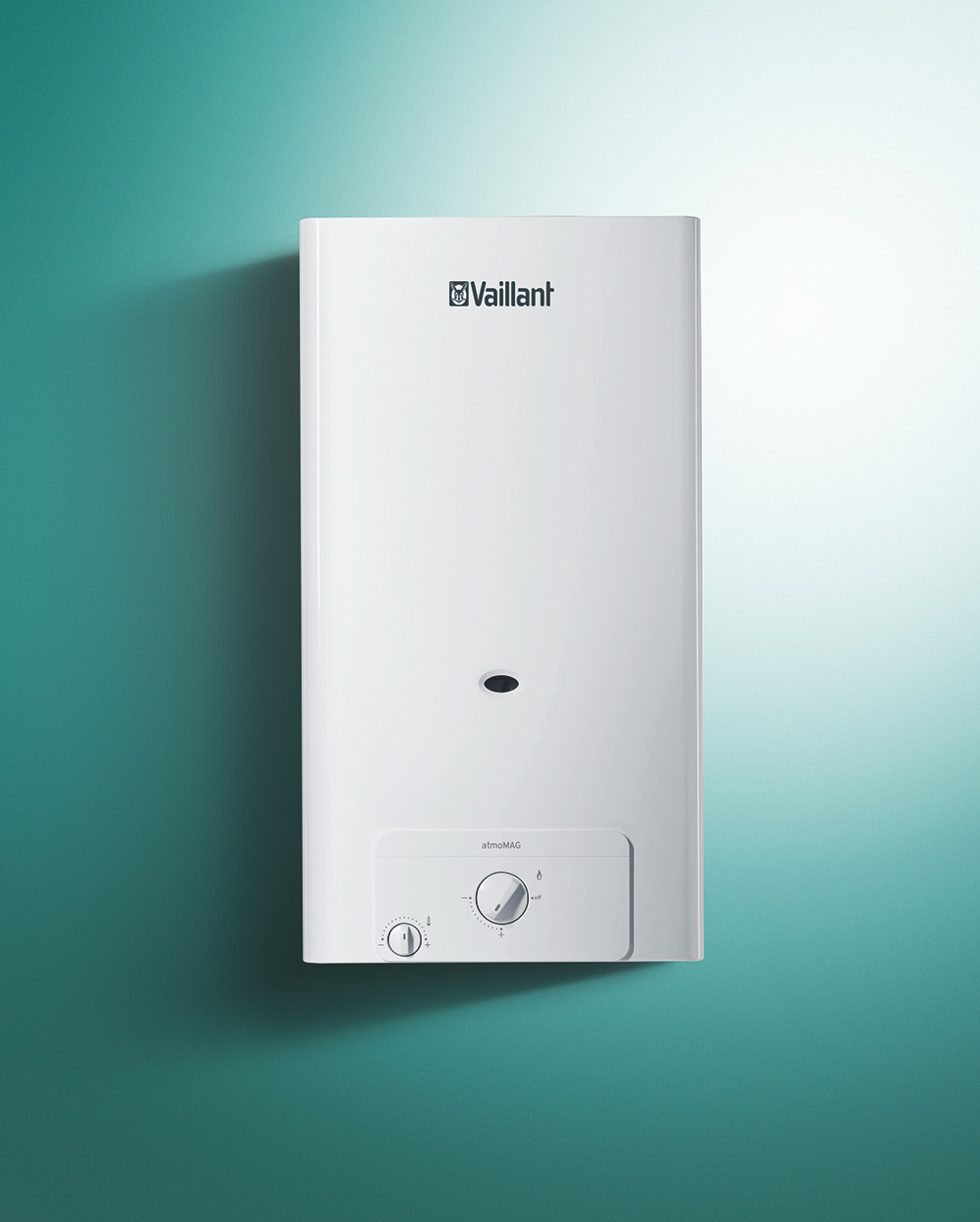 Calentadores Vaillant Valencia